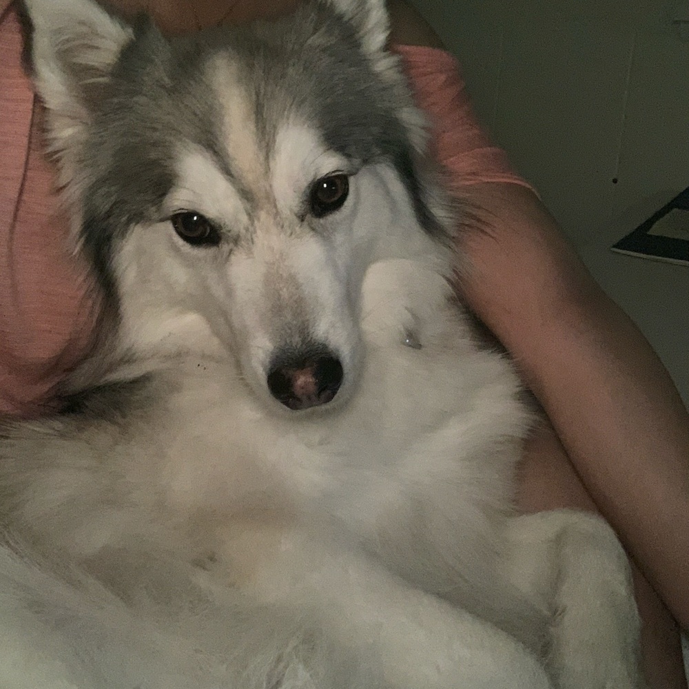 Meet your Posher, Victoria